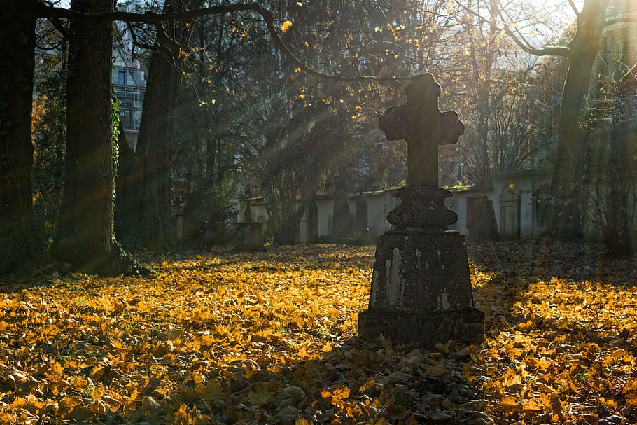 Gray Concrete Gravestone, branches, cemetery, cross, daylight HD wallpaper