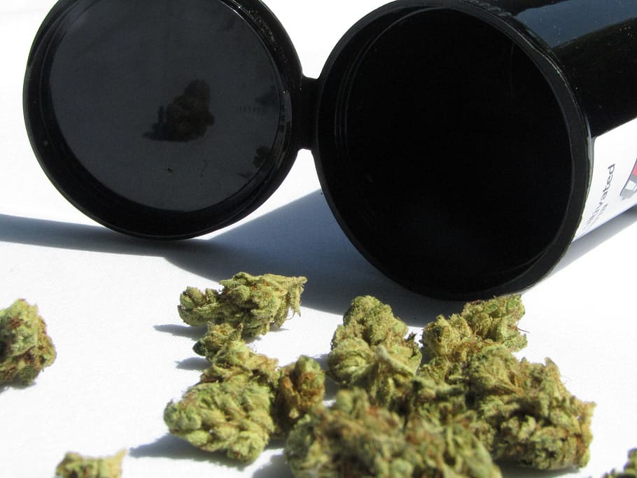 green kush with black container, accessories, sunglasses, accessory, HD wallpaper