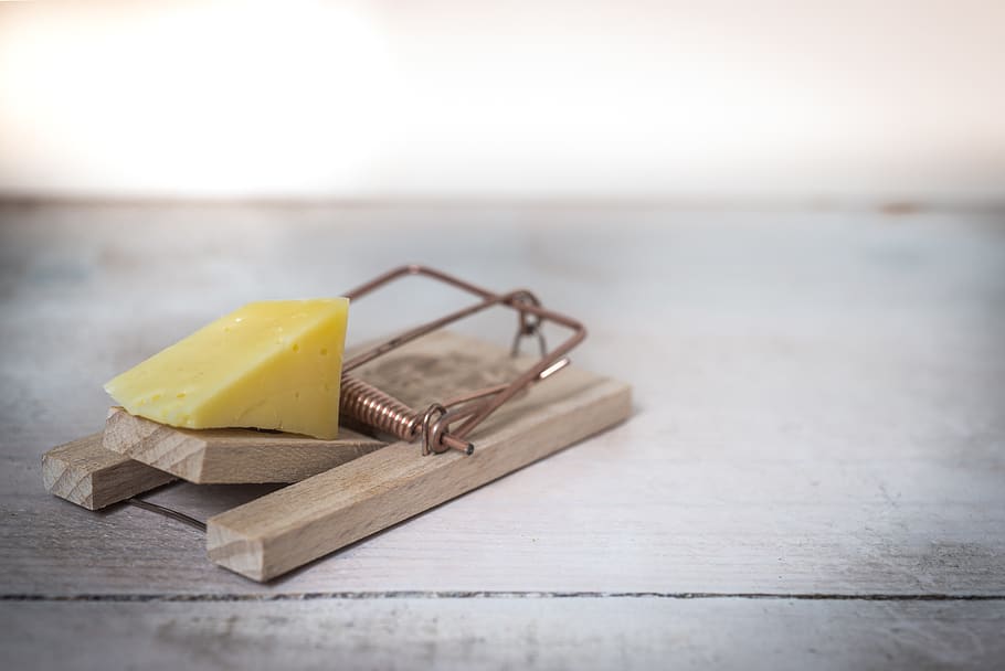 HD wallpaper: Brown Wooden Mouse Trap With Cheese Bait on Top