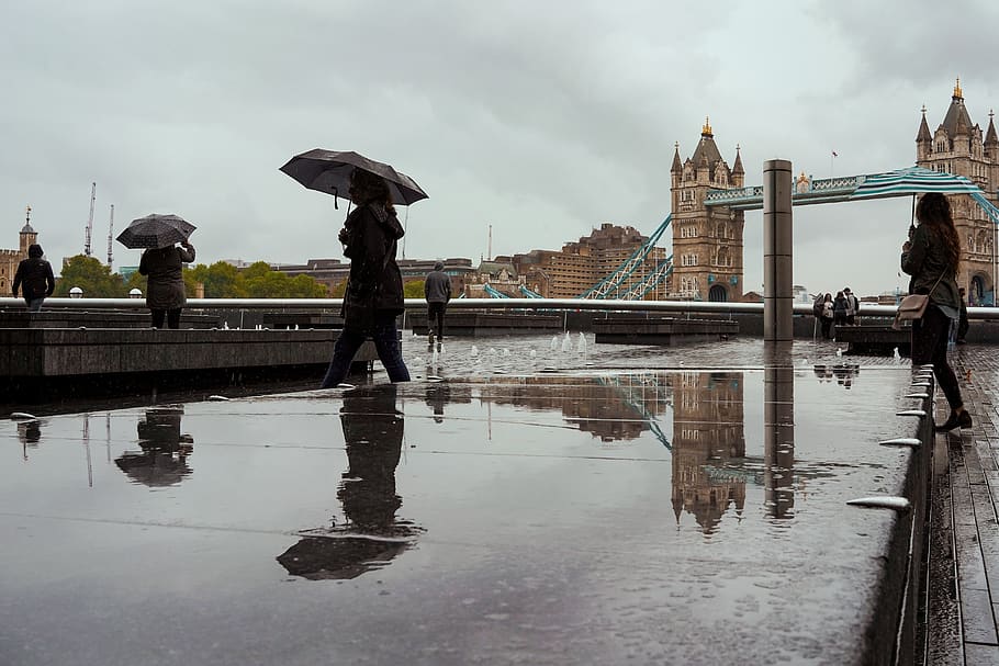 people under umbrella, water, architecture, wet, rain, built structure HD wallpaper