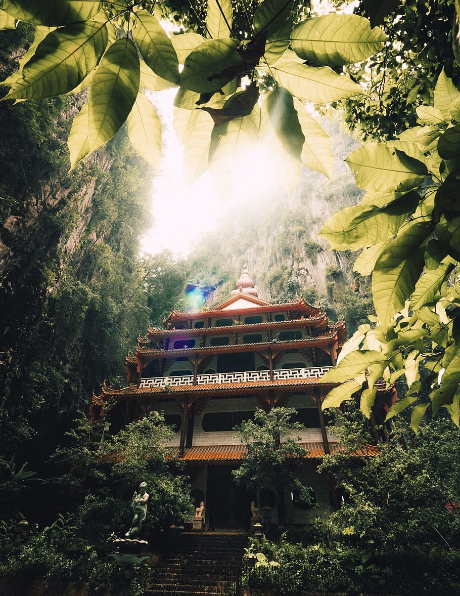 orange and white temple, building, plant, leaf, sunlight, glow HD wallpaper