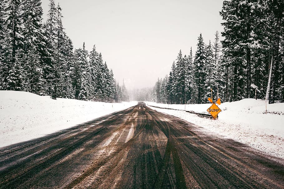 nature, trees, road, snow, cold, way, travel, haze, winter HD wallpaper