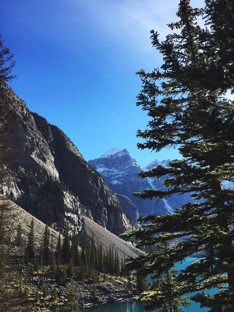 nature, sky, tree, mountain, banff, moraine, beauty in nature HD wallpaper