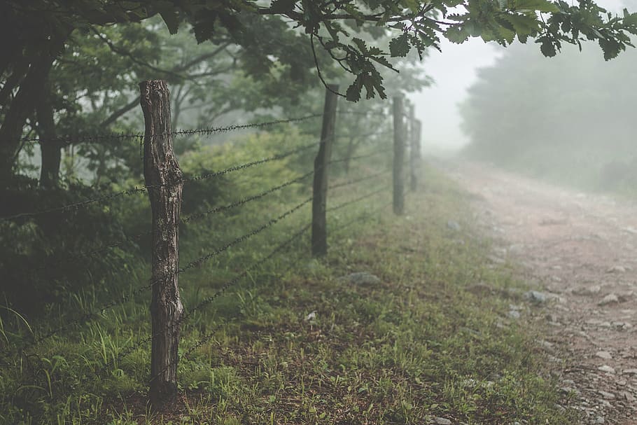 landscape photo of foggy trees, fence, path, barbed wire, cloud HD wallpaper