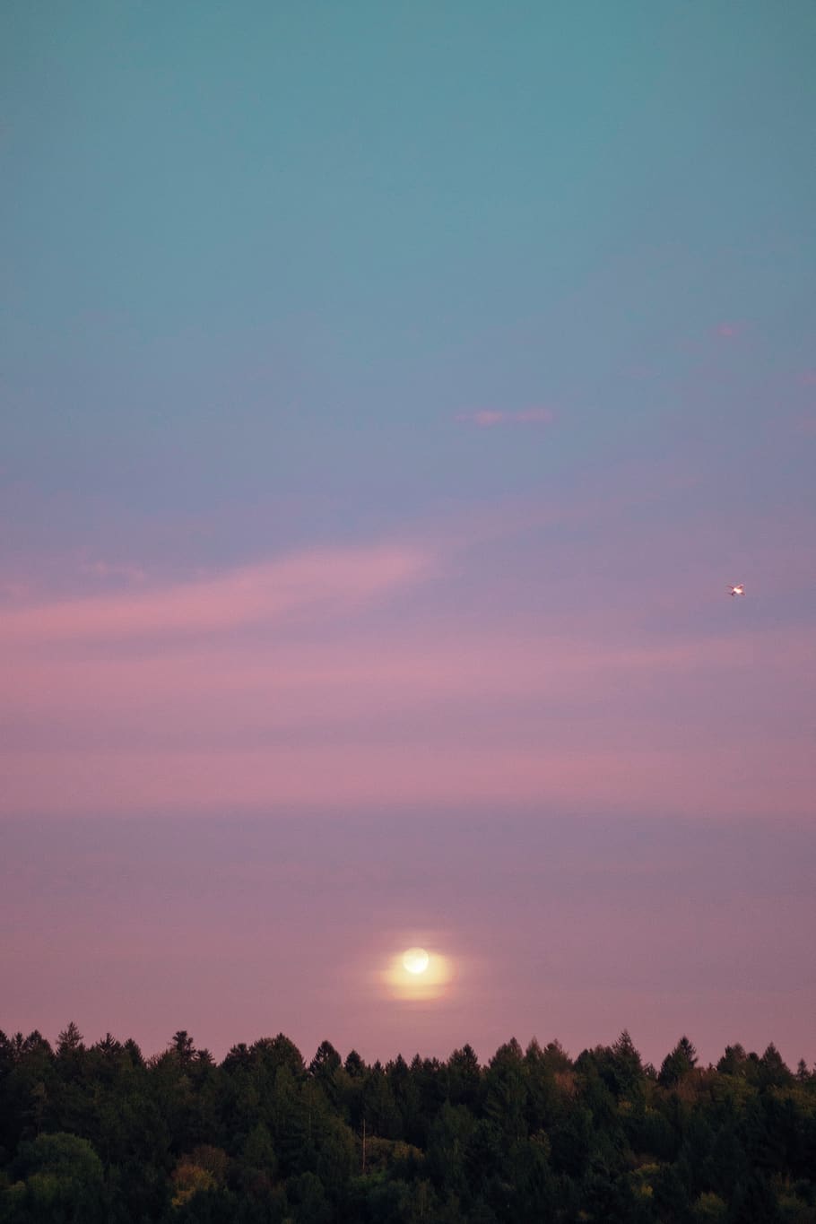 sky, forest, moon, airplane, blue, pink, color, calm, beauty in nature HD wallpaper