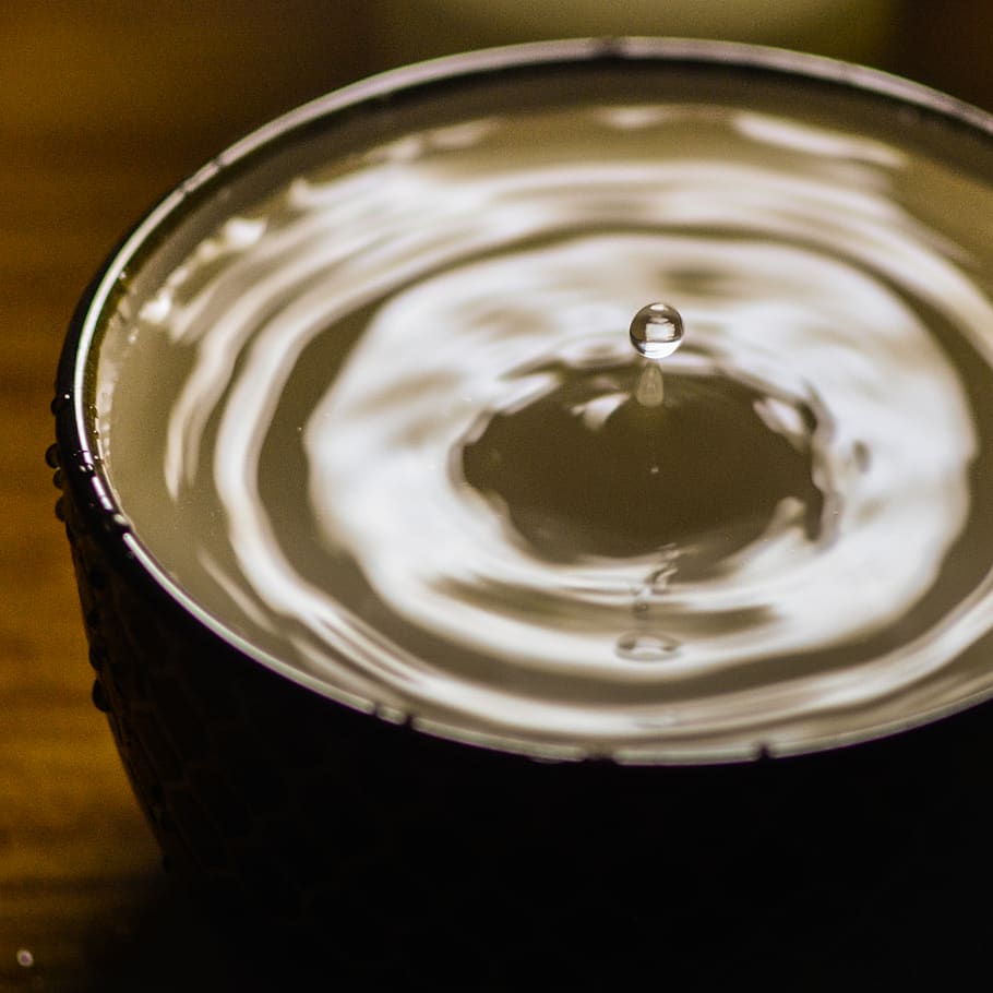 water, cup, drop, rippled, food and drink, close-up, freshness HD wallpaper