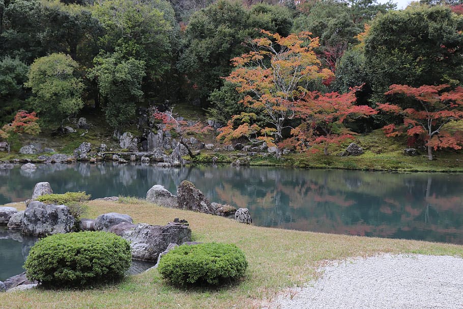 park, tree, plant, temple, forest, water, lake, growth, nature HD wallpaper