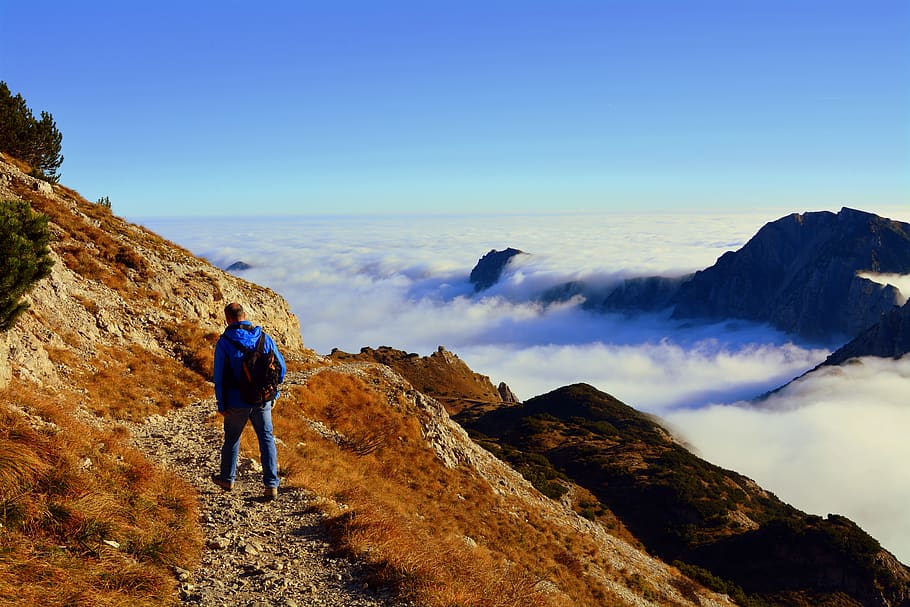 Man in Blue Jacket Walking on Pathway, adventure, climb, climber HD wallpaper