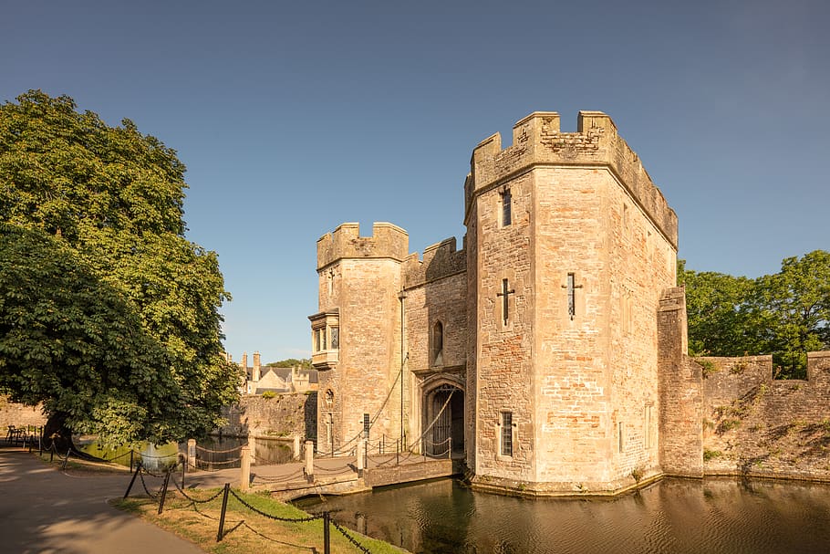 wells, united kingdom, the bishop's palace and gardens, 8k, HD wallpaper