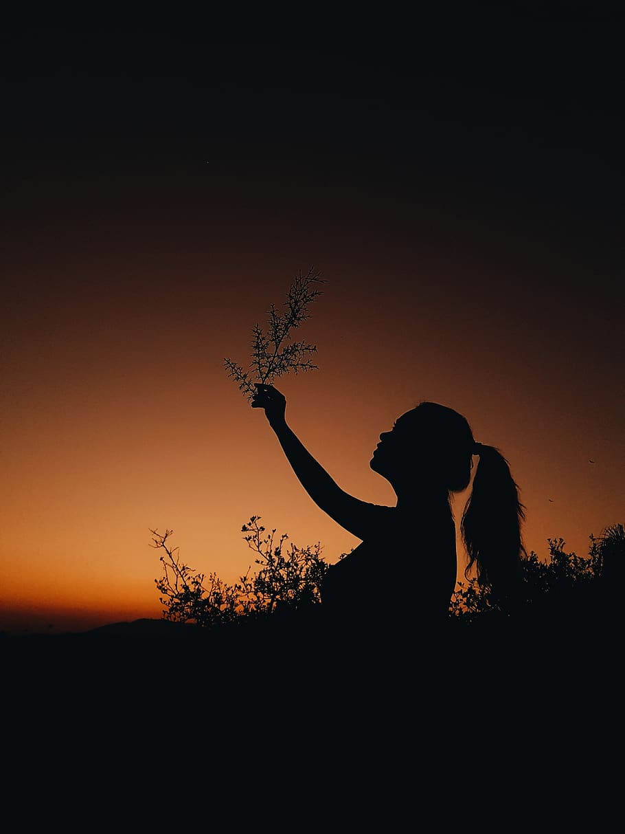 Silhouette of Man and Woman, clouds, colors, dark, evening, golden hour HD wallpaper