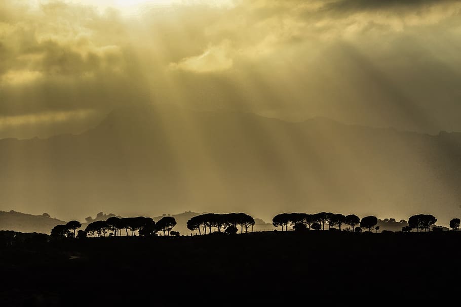 trees, plant, view, nature, outdoor, mountain, silhouette, dark HD wallpaper