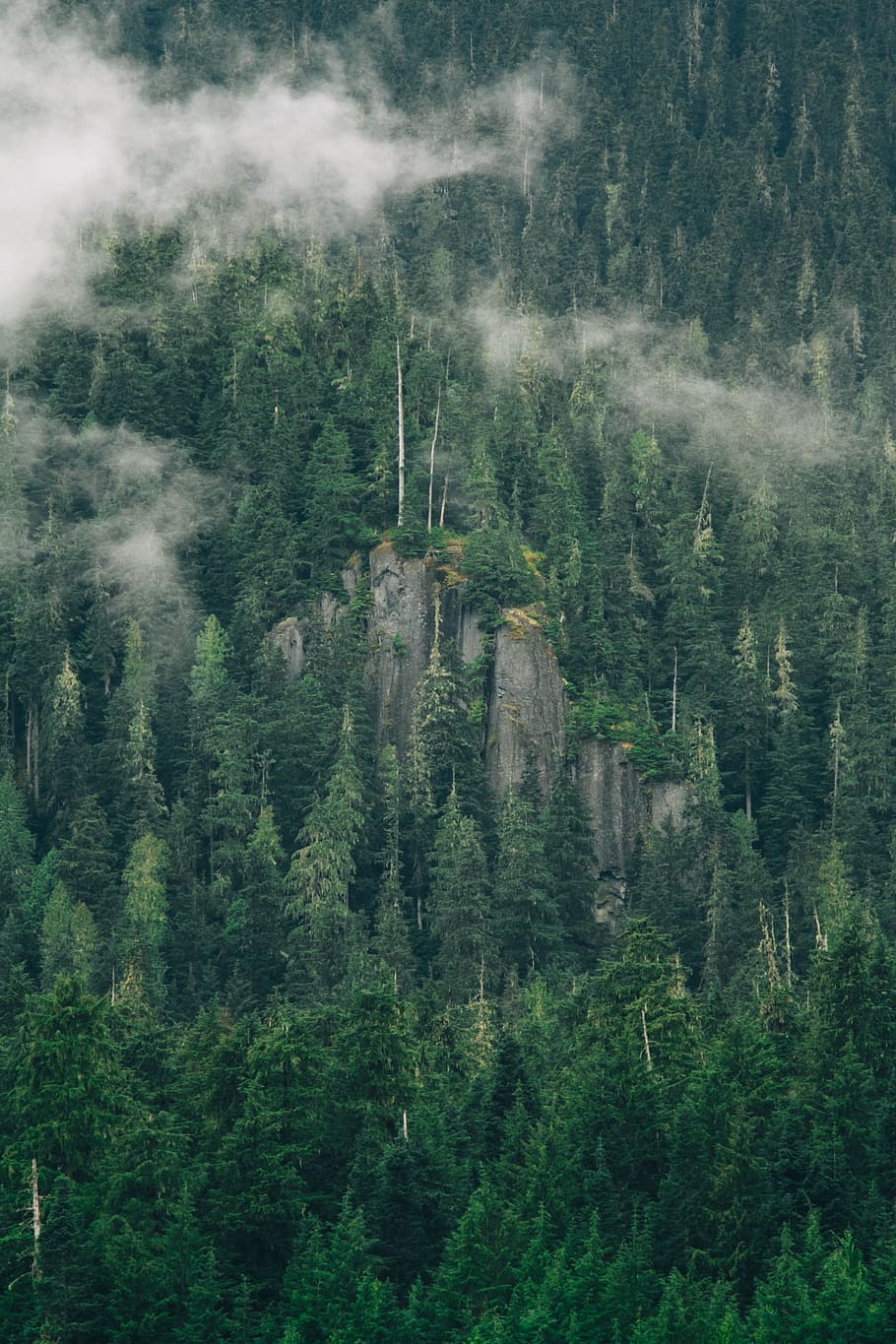 green, trees, plant, nature, forest, rock, hill, mountain, landscape HD wallpaper