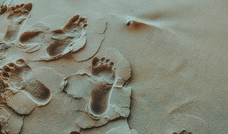 footprints, sand, beach, desert, outdoors, feet, land, no people HD wallpaper