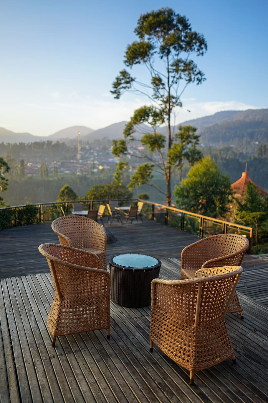four brown wicker chairs, basket, plant, seat, table, nature HD wallpaper