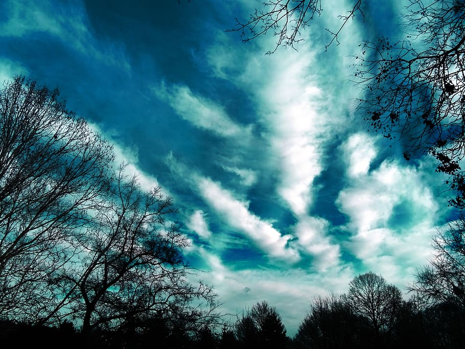 Trees and Clouds Photography, branches, colors, dark, daylight HD wallpaper