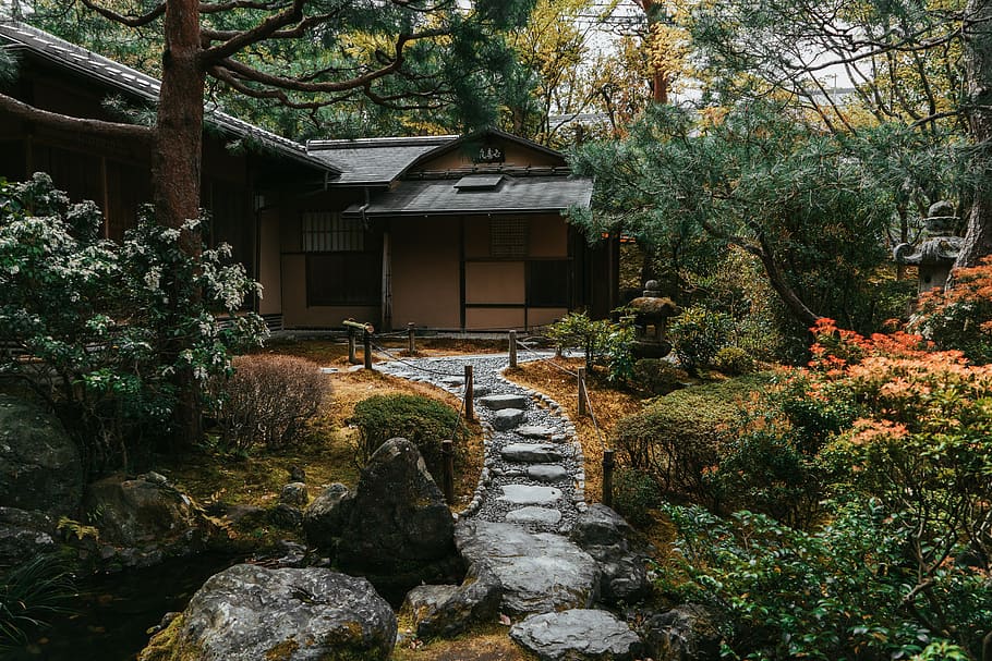 brown house surrounded of trees, plant, built structure, architecture, HD wallpaper