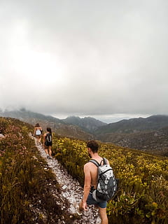 Man and Woman Hiking in Mountain, adventure, backpack, climbers HD wallpaper