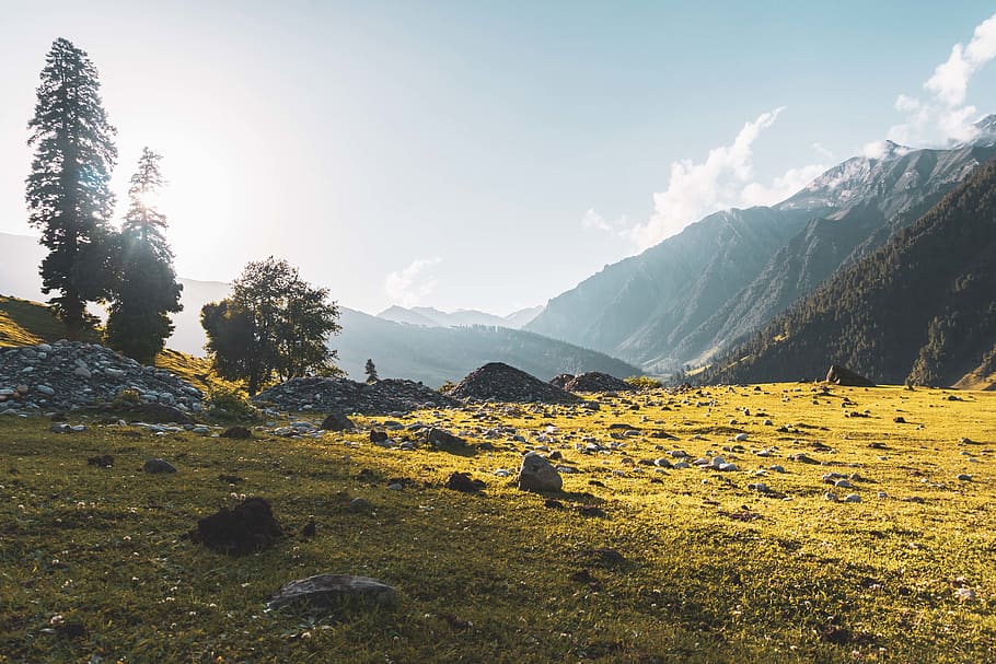 green grass field, nature, outdoors, mountain, mountain range HD wallpaper