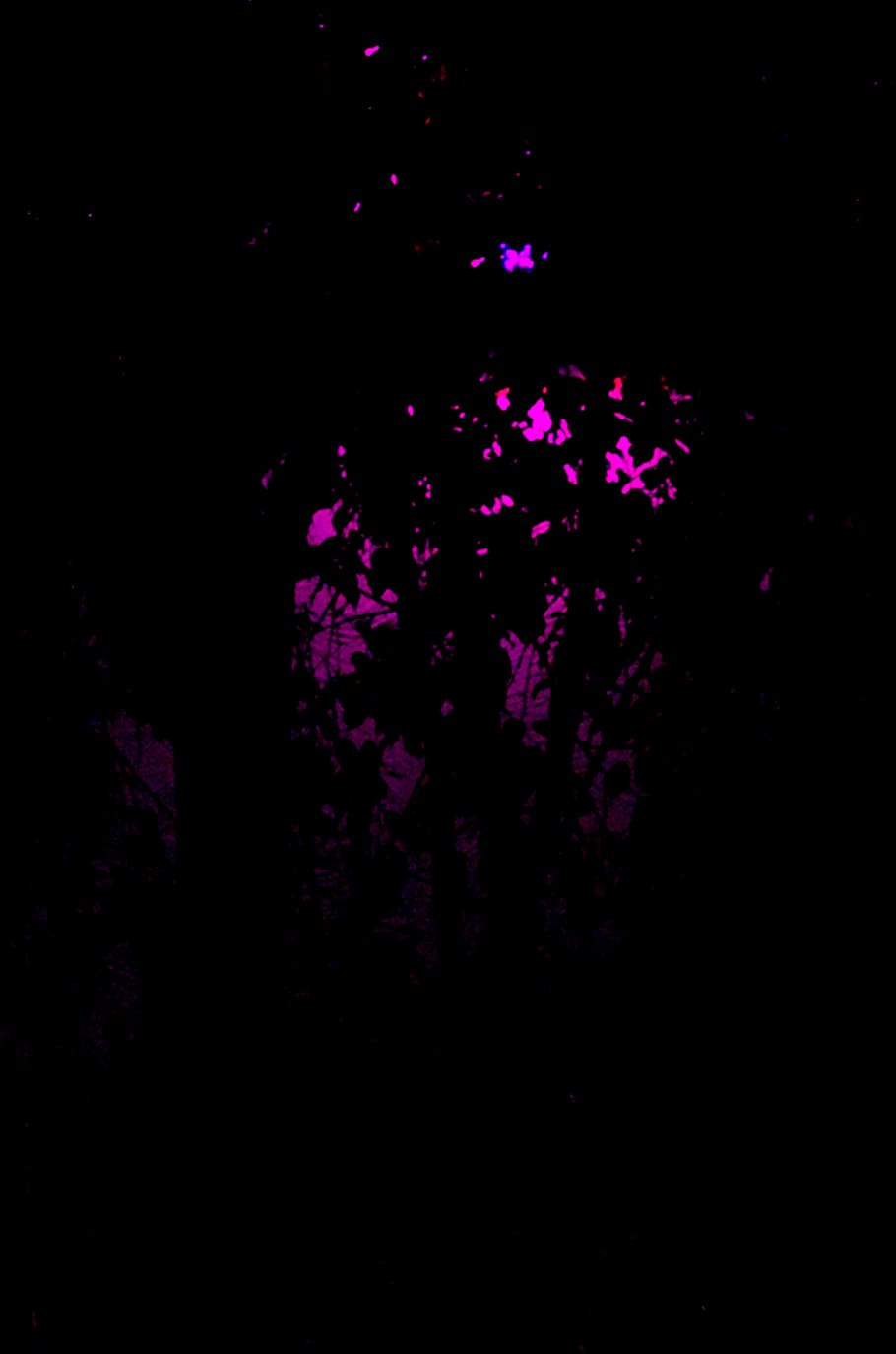 HD wallpaper: mexico, guadalajara, pink lights, dark, outside, trees, neon  | Wallpaper Flare