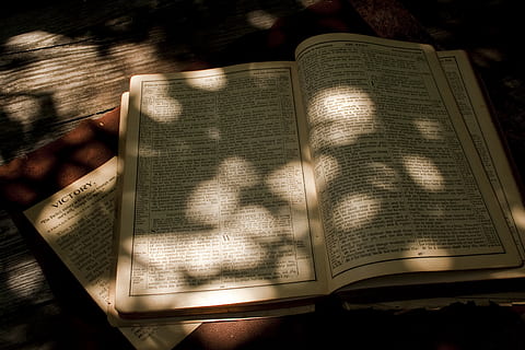 open Bible page, book, text, diary, reading, word, novel, apparel HD wallpaper