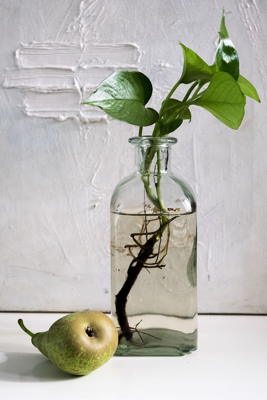 composición, botella, pera, fruta, vidrio, luaz, food and drink HD wallpaper