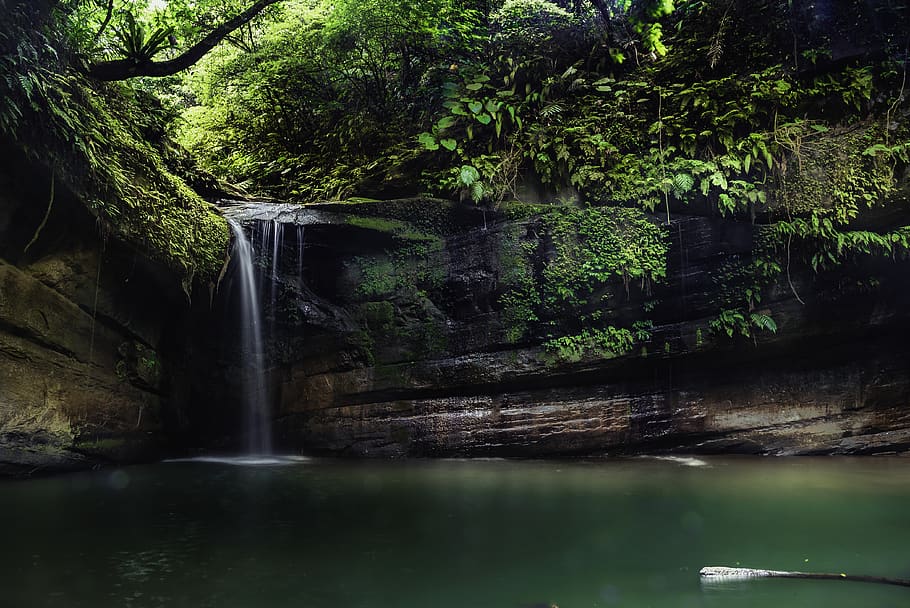waterfall, rocks, tree, plant, forest, beauty in nature, scenics - nature HD wallpaper