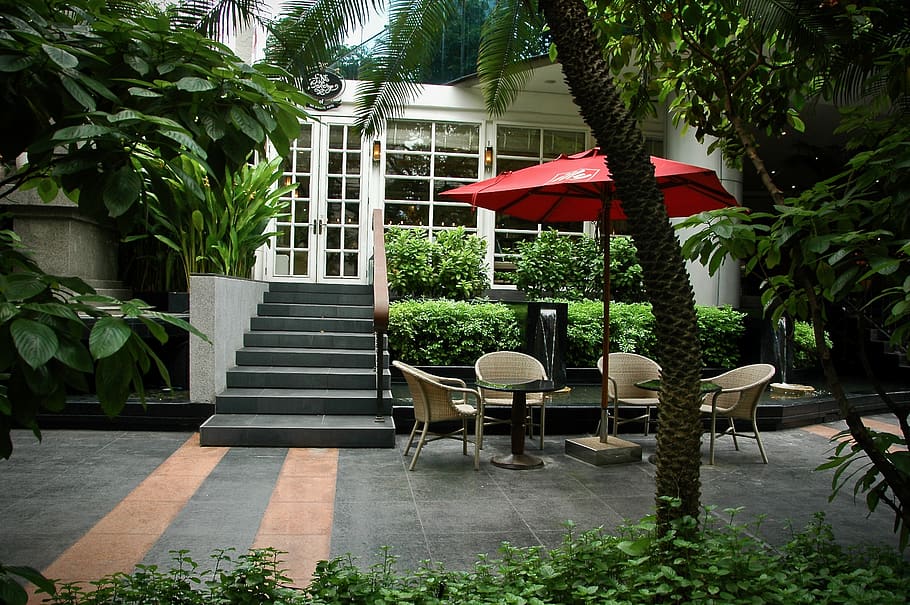 raintree, coffee, illy, bangkok, attene, coffee shop, plant HD wallpaper