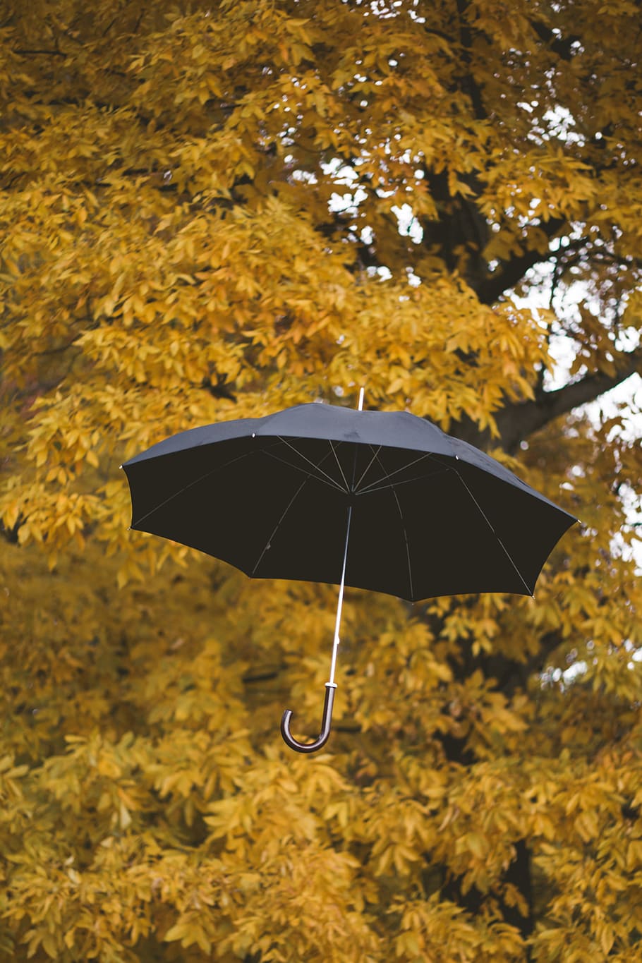 floating black umbrella, tree, air, flight, joy, life, wallpaper HD wallpaper