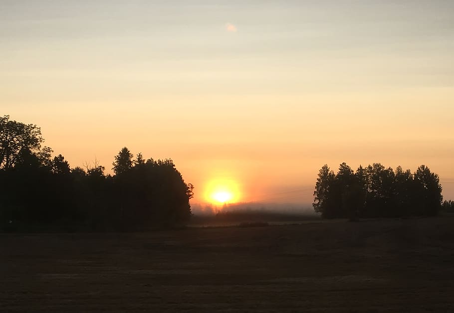 sunset, iphone, landscape, fog, wallpaper, tree, sky, beauty in nature HD wallpaper
