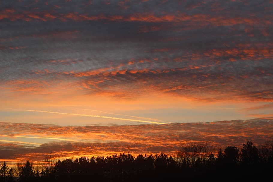 sunset, pink, yellow, clouds, cloudscape, trees, nature, landscape HD wallpaper