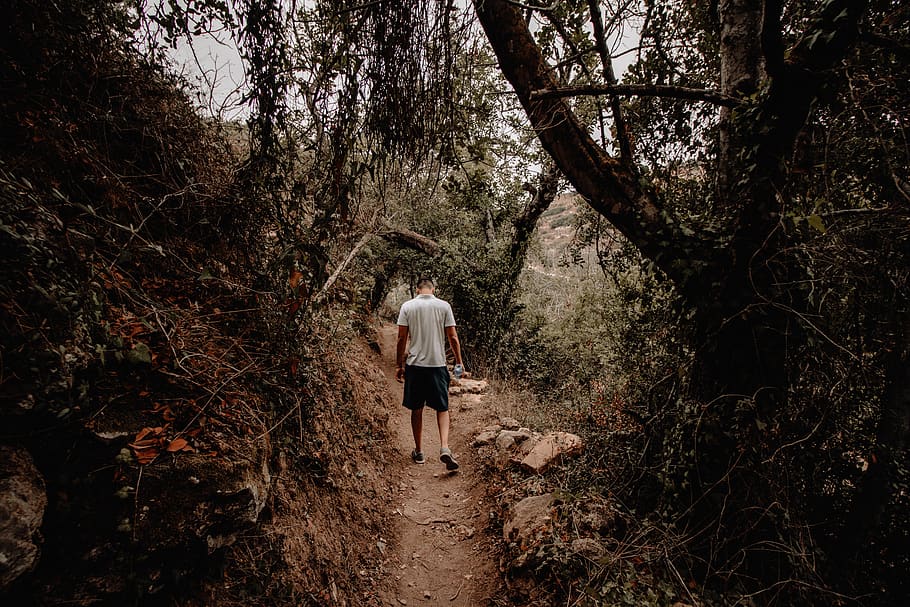 man walking through forest, person, human, clothing, shorts, apparel HD wallpaper