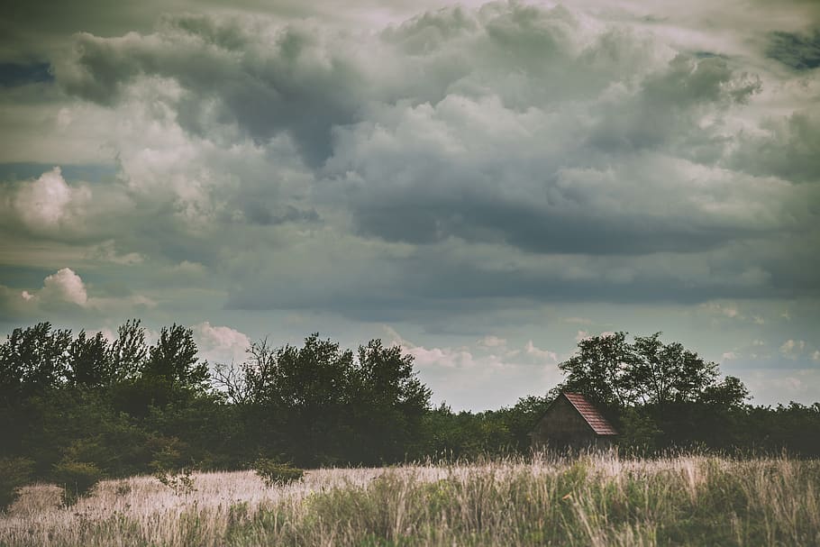 House Surrounded by Trees, clouds, daylight, environment, farm HD wallpaper