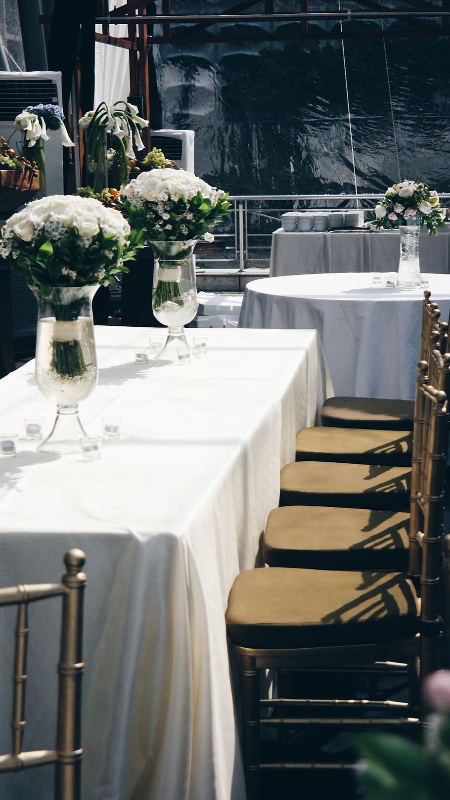 two white arrangement on top table, home decor, plant, furniture HD wallpaper