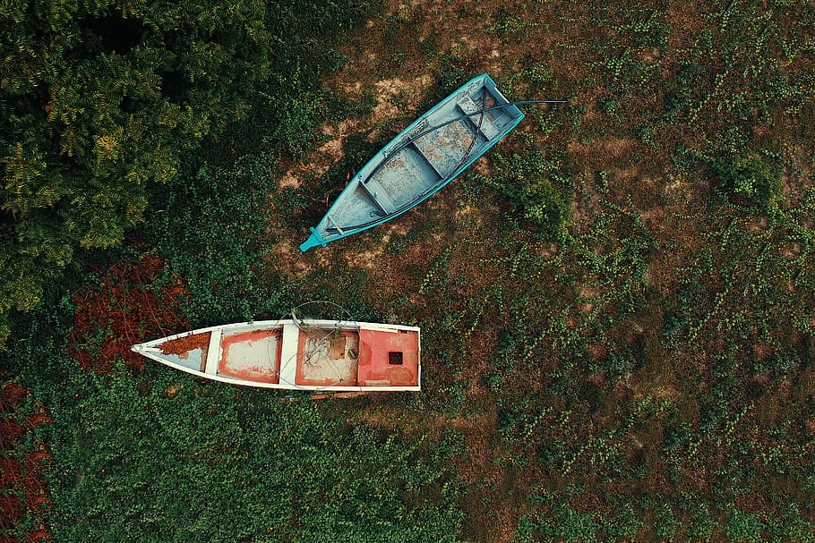 Teal and White Outboard Boats on Green Grass Field, color, daylight HD wallpaper
