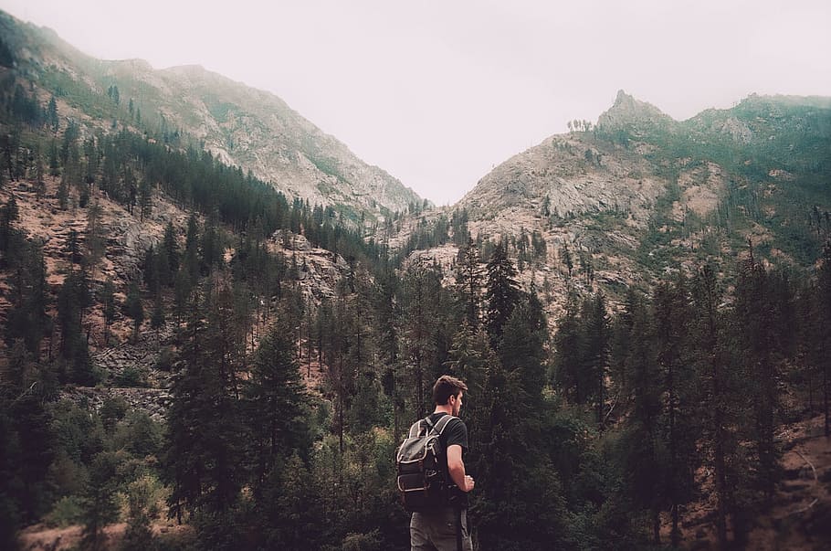 Man Standing and Facing Trees and Gray Rock Mountain Photo, adventure HD wallpaper