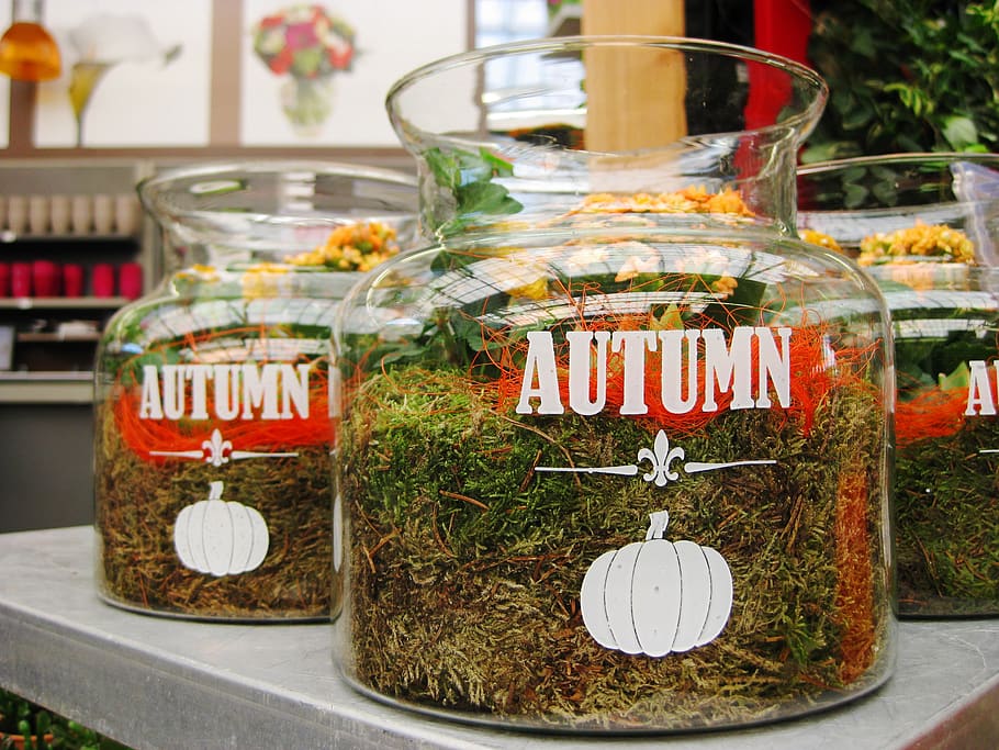 fall, garden, nature, jar, jars, pumpkin, garden centre, foam HD wallpaper
