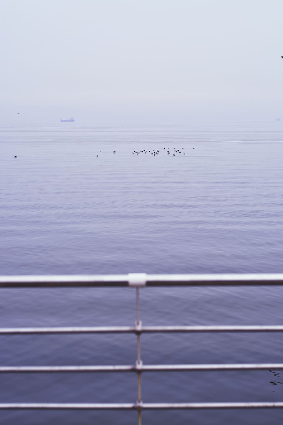 horizon, wallpaper, background, vsco, sea, water, nature, waves HD wallpaper