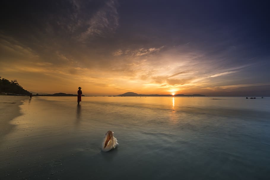 Person Standing On Shore, alone, beach, dawn, dusk, ocean, sand HD wallpaper