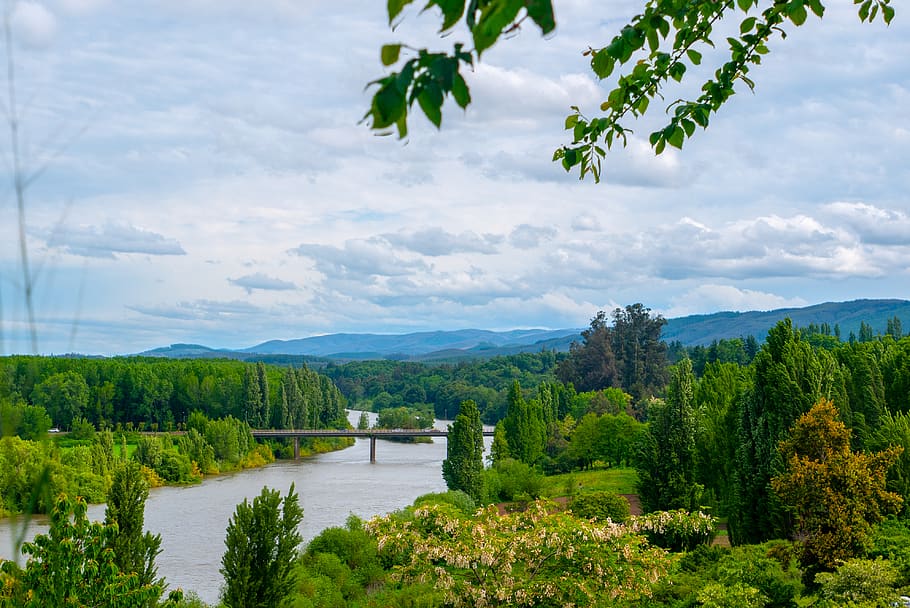 river, bridge, sky, tree, plant, water, beauty in nature, cloud - sky HD wallpaper