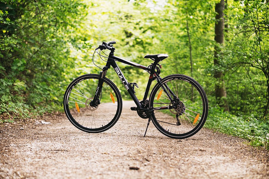 Black and White Hardtail Bike on Brown Road Between Trees, bicycle, HD wallpaper