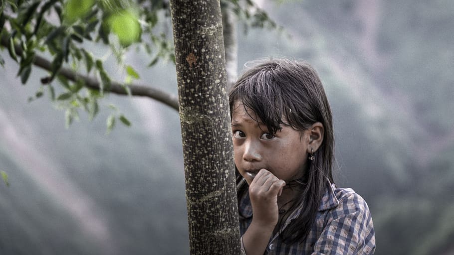 person, human, plant, tree, face, grey, finger, tree trunk HD wallpaper