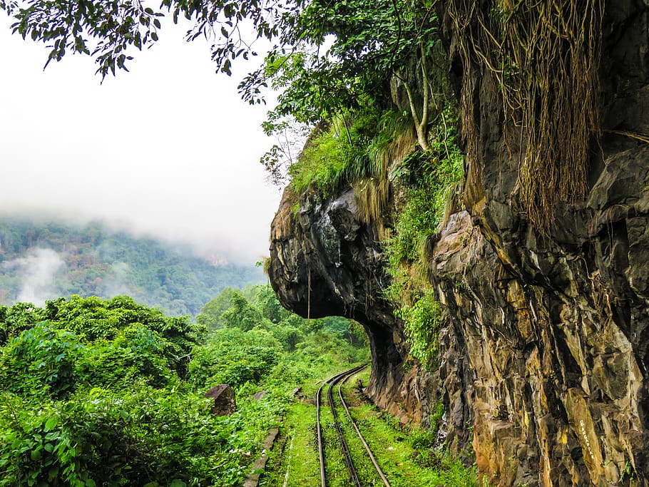 train, trip, cliff, mountain, clouds, forest, jungle, trees HD wallpaper