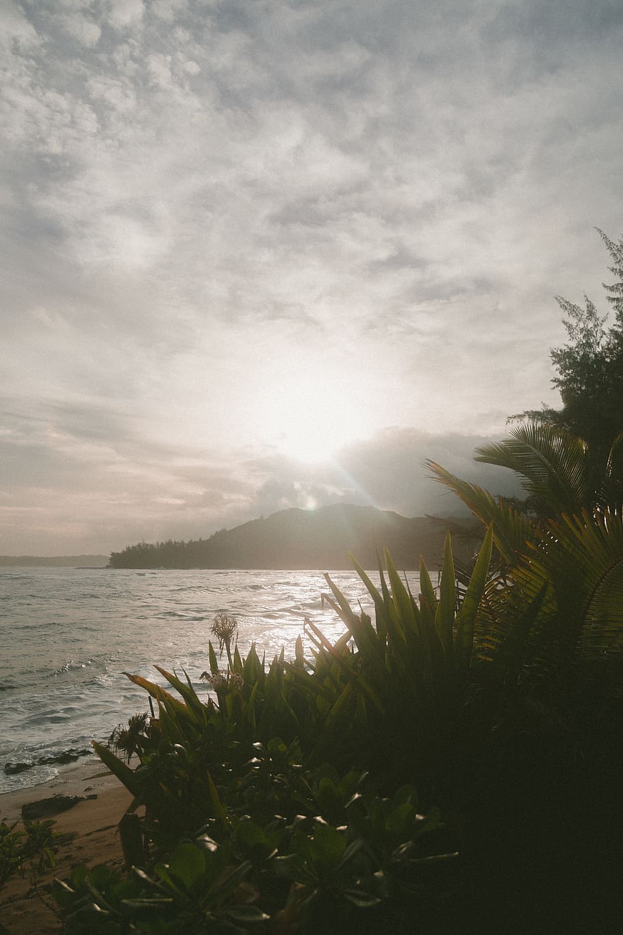 canon, palm tree, cloudy, valley, mountain, summer, sun, sunset HD wallpaper