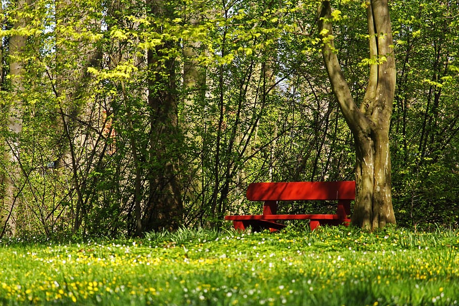 red bank, park bench, in the park, rest, nature, seat, walk, HD wallpaper