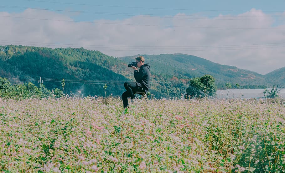 Man Sitting in the Middle of Flower Field Using Black Dslr Camera HD wallpaper
