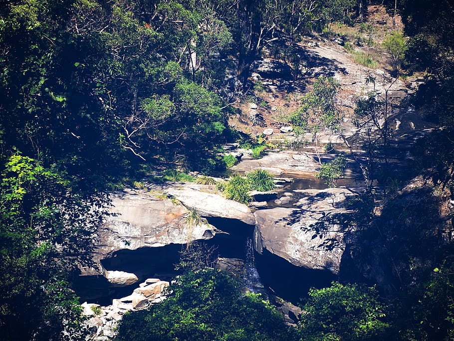 australia, rocks, nature, tree, plant, water, forest, beauty in nature HD wallpaper
