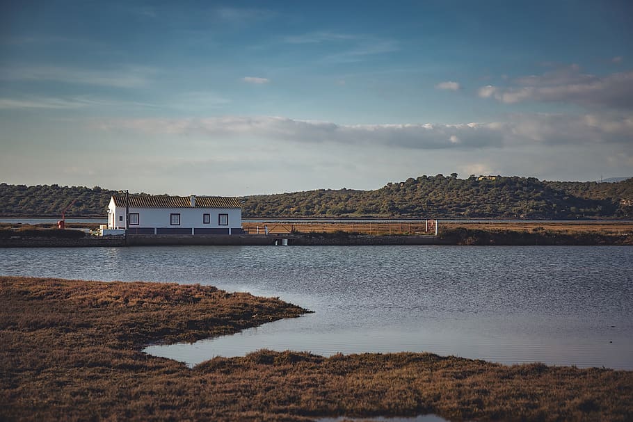 house, river, delta, architecture, building, water, landscape HD wallpaper