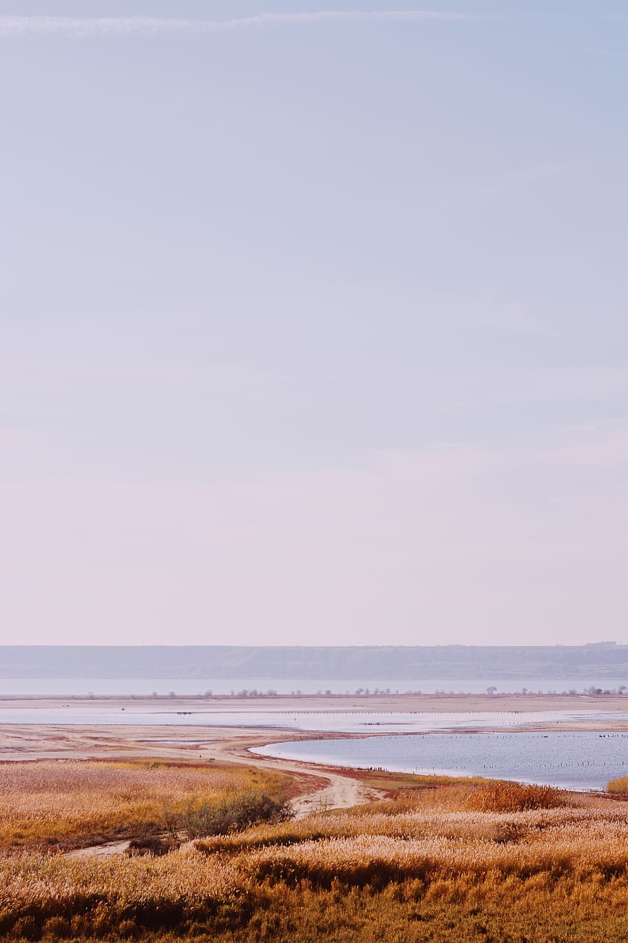 brown grass field, land, water, scenics - nature, sea, beauty in nature HD wallpaper