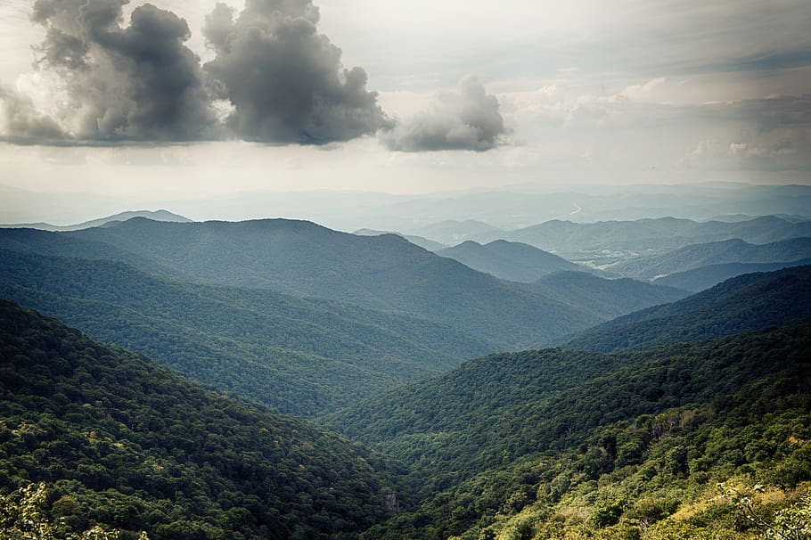 trees, forest, hill, mountain, scenics - nature, beauty in nature HD wallpaper