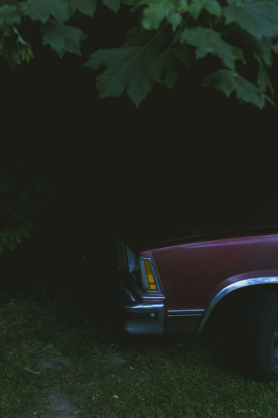 red vehicle under green tree, machine, wheel, tire, spoke, alloy wheel HD wallpaper